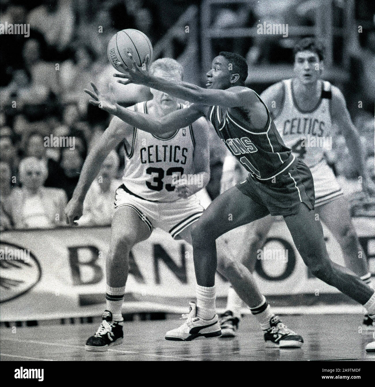 Detroit Pistons #11 Isiah Thomas und Boston Celtics #33 Larry Bird und #4 Jim Paxton während der NBA Halbfinale Spiel in Boston, Ma USA 1988 Foto von Bill belknap Stockfoto