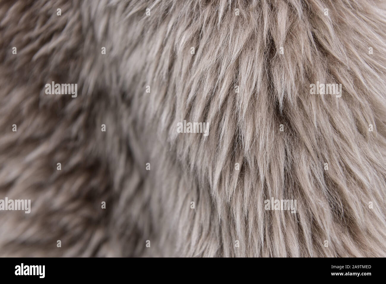 Die Textur von Fell. Das Fell ist schön, lange Haare. Graustufen - Hell und Dunkel Stockfoto