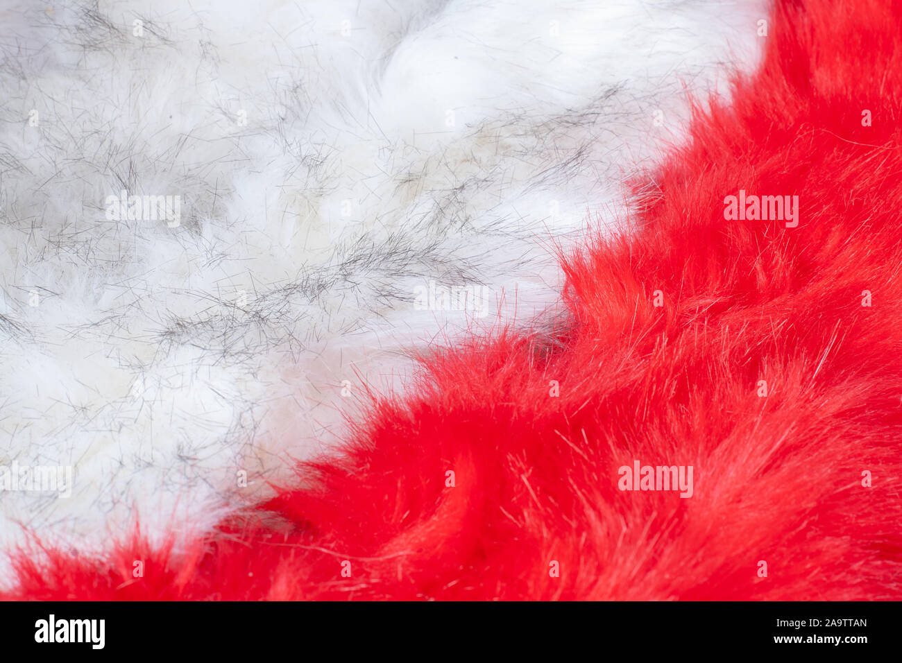 Pelz Textur Hintergrund. Rote und weiße flauschige Fell diagonal. Langer Flor. Stockfoto