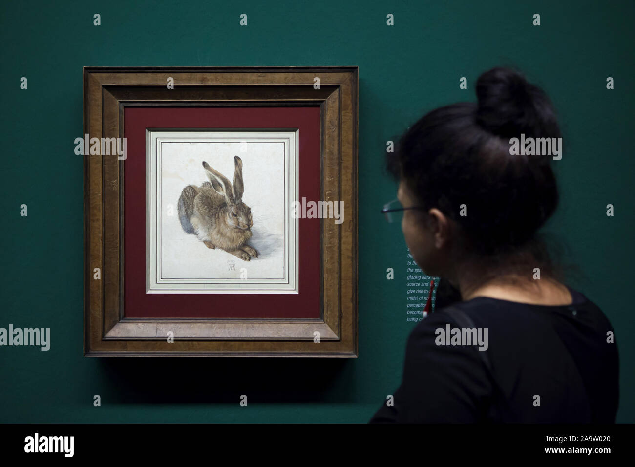Besucher vor dem Aquarell "Junger Hase" durch die deutsche Renaissance  Maler Albrecht Dürer (1502) bei seiner Retrospektive Ausstellung in der  Albertina in Wien, Österreich, angezeigt. Die Ausstellung präsentiert über  200 Beispiele von
