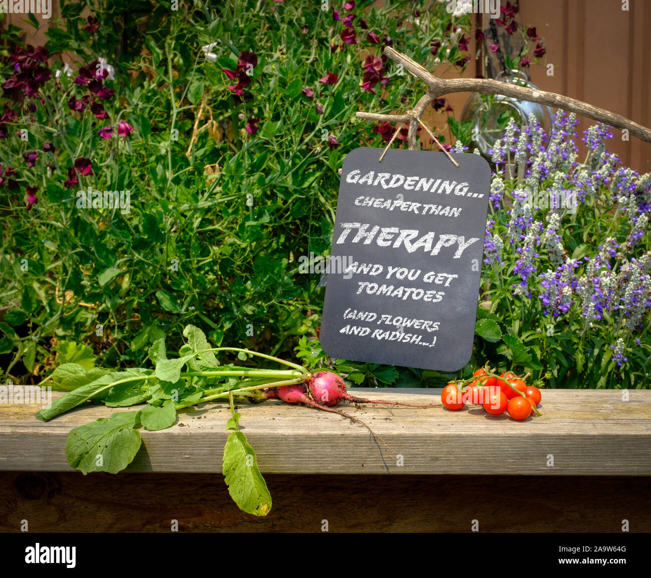 Anmelden Garten, Gartenarbeit… billiger als Therapie und erhalten Sie Tomaten (und Blumen und Rettich…), eco Therapie zurück zur Natur Konzept erhalten Stockfoto