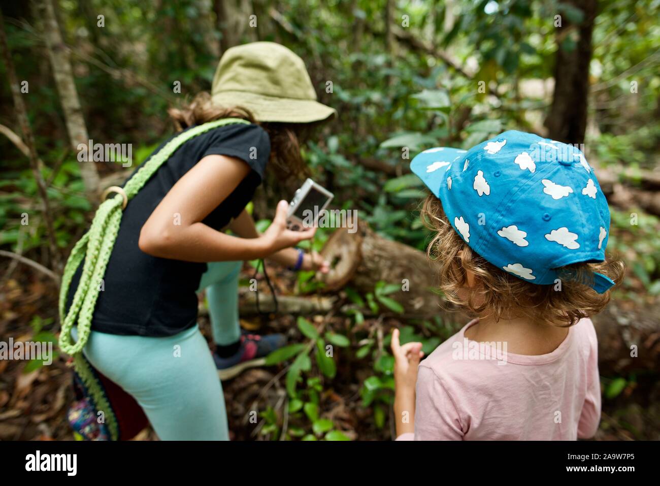 Kinder im schulpflichtigen Alter Natur erkunden, Honeyeater wandern Lookout Trail, Conway National Park, Airlie Beach, Queensland, Australien Stockfoto