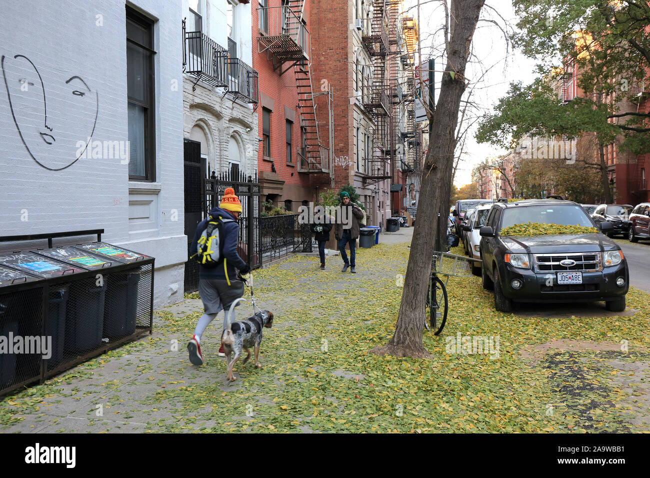 Ginkgo-Baum lässt nach einem kalten Einbruch in New York City einen Gehweg im East Village-Viertel von Manhattan auf dem Teppich zurück (13. November 2019) Stockfoto