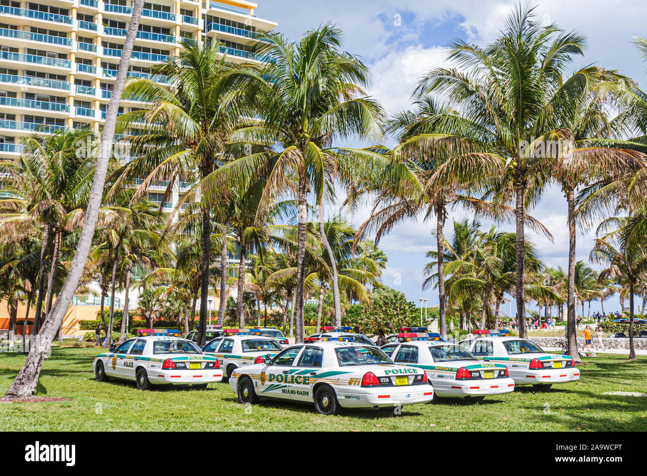 Miami Beach, Florida, Lummus Park, Polizeiautos, FL100207145 Stockfoto