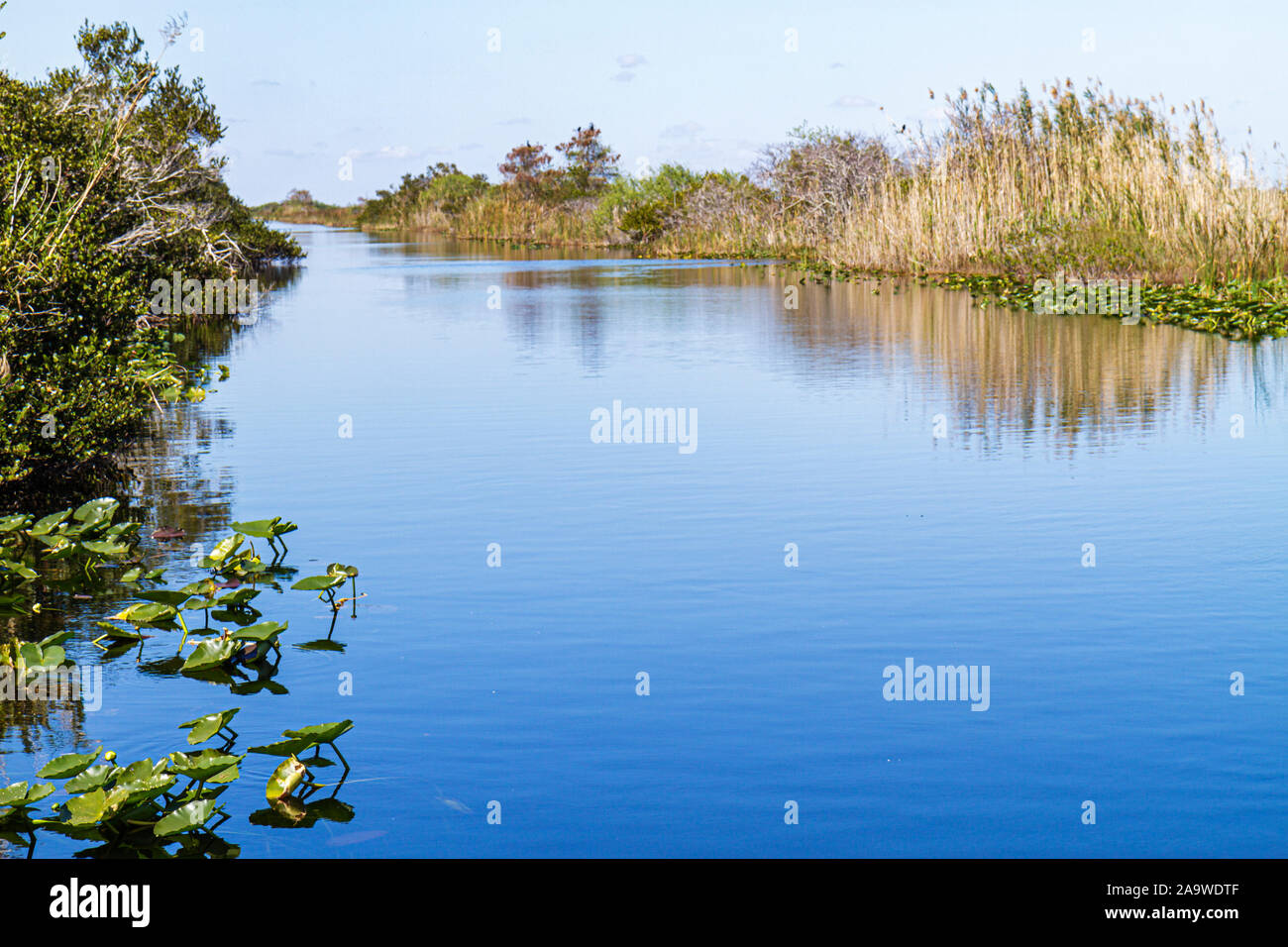 Florida die Everglades, US Highway Route 41, Tamiami Trail, Besucher Reise Reise Reise Tourismus Wahrzeichen Kultur Kultur Kultur, Urlaub g Stockfoto