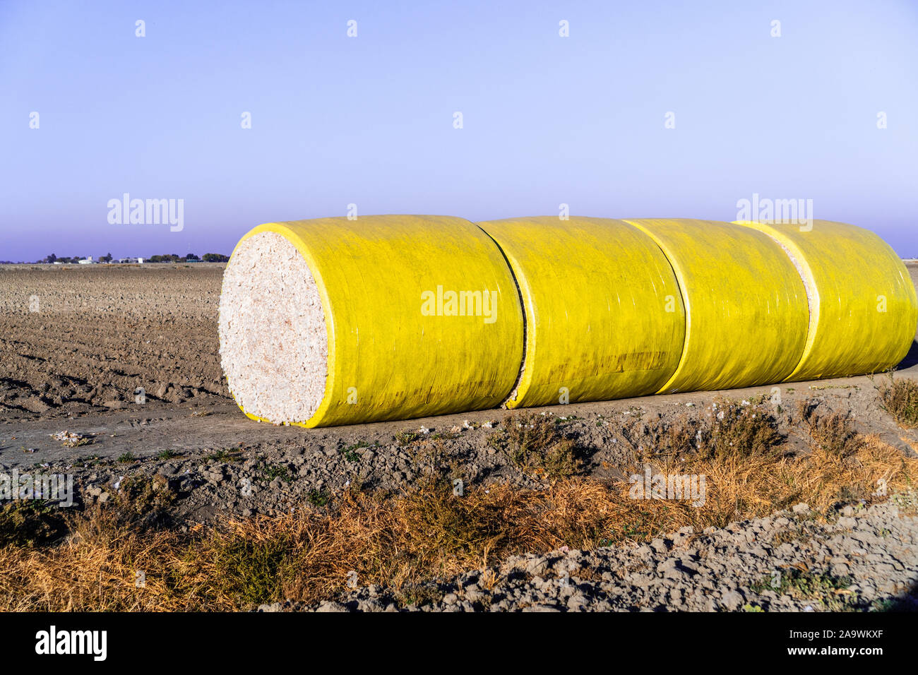 Baumwollballen in einer Reihe neben einem Abgeernteten Feld, bereit zur Abholung; Central California, United States Stockfoto