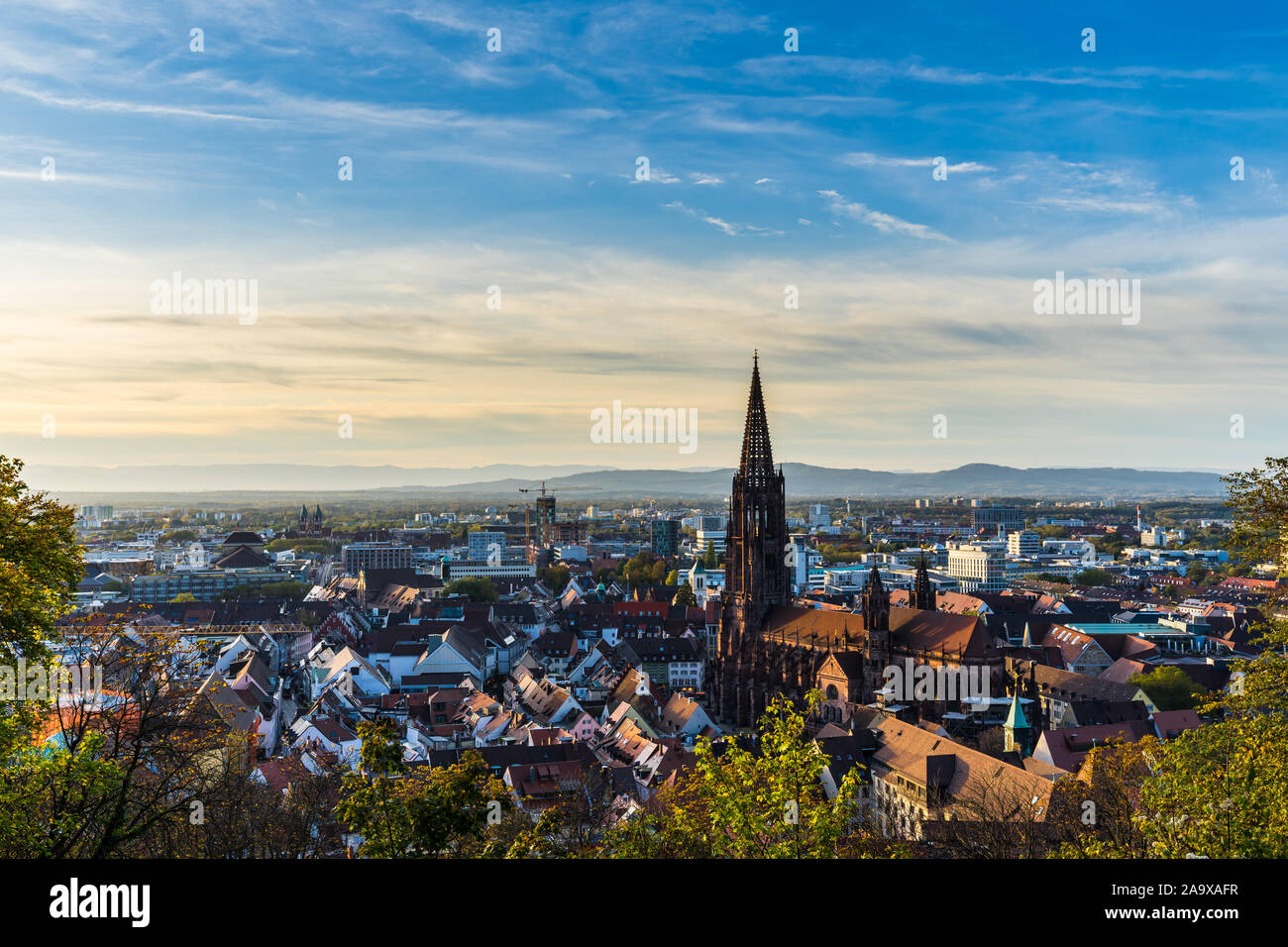 Deutschland, Freiburg im Breisgau Skyline mit der berühmten Kathedrale Münster in der Altstadt in warmen Sonnenuntergang Sonne Licht im Herbst Jahreszeit, Luftaufnahme über cityscap Stockfoto