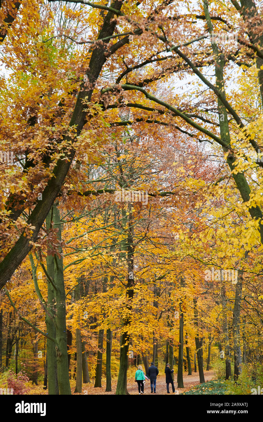 18 November 2019, Berlin: eine Gruppe von Menschen gehen in den Zoo. Die Blätter der Bäume im Herbst bunt gefärbt. Foto: Annette Riedl//dpa Stockfoto