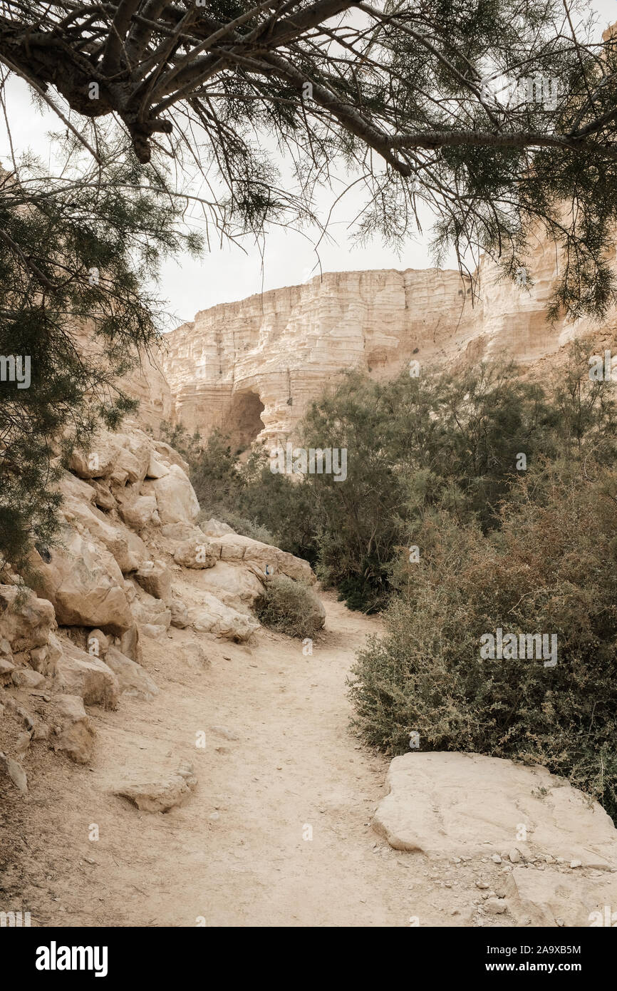 Ein avdat Nationalpark, Israel. 15. November 2019. Ein Blick auf den Fluss Tzin bei Ein avdat Nationalpark, eine natürliche Oase in der israelischen Wüste Negev. Credit: Nir Alon/Alamy Leben Nachrichten. Stockfoto