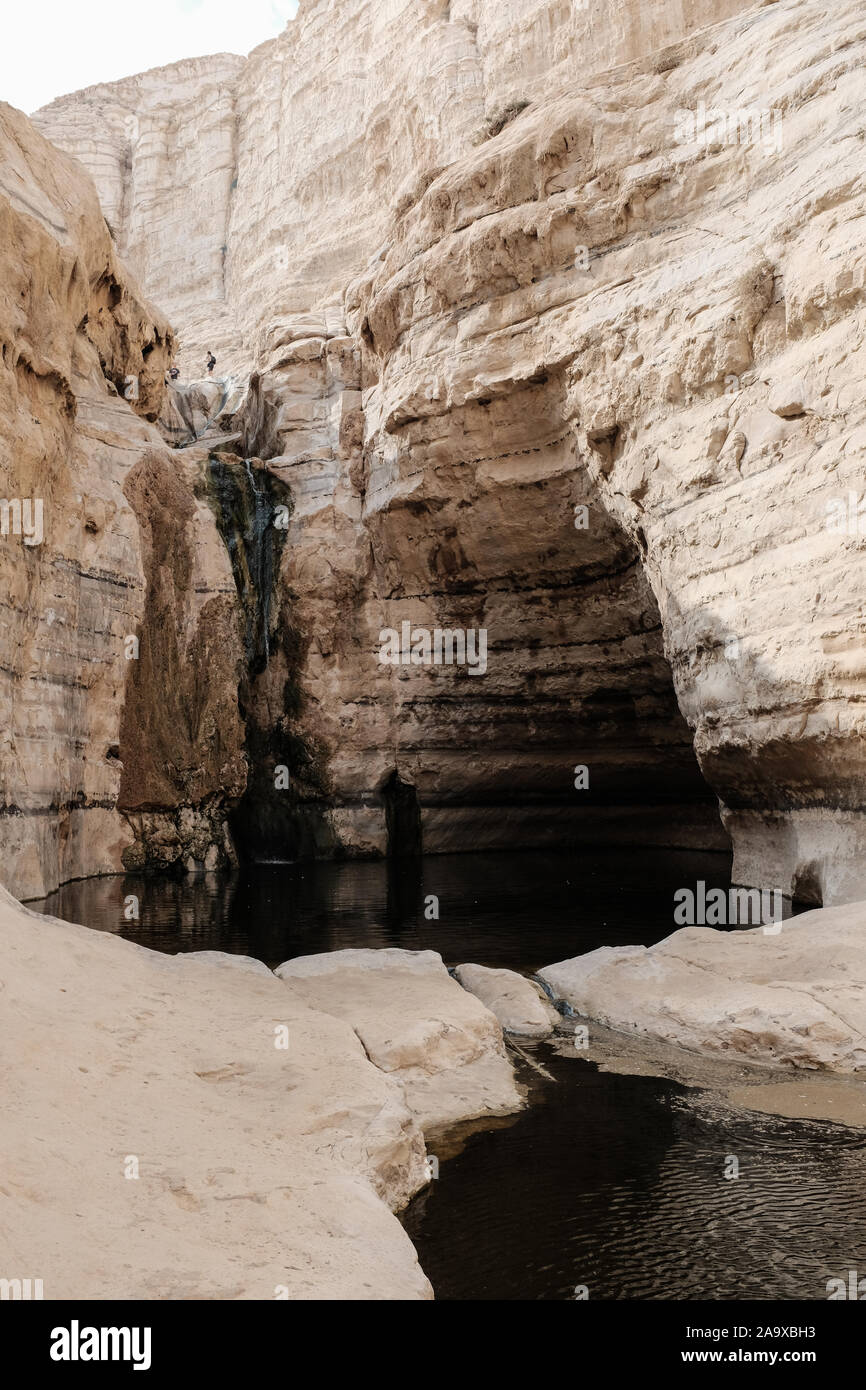 Ein avdat Nationalpark, Israel. 15. November 2019. Eine natürliche Wasserfall und Pool im Tzin Fluss in Ein avdat Nationalpark, eine natürliche Oase in der israelischen Wüste Negev. Credit: Nir Alon/Alamy Leben Nachrichten. Stockfoto