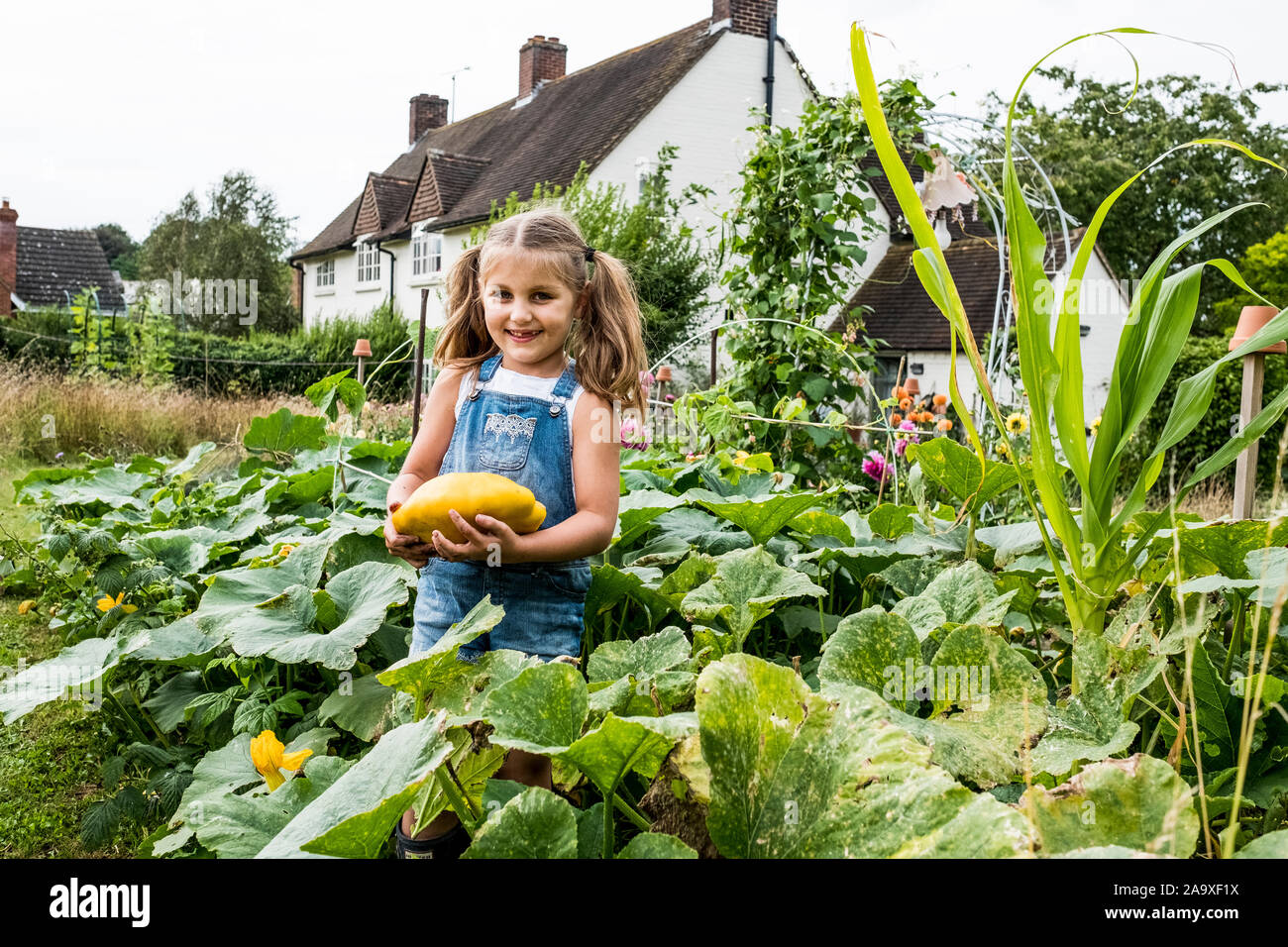 Stehendes Mädchen in einem Gemüsebeet in einem Garten, mit gelben Kürbis, in die Kamera lächeln. Stockfoto