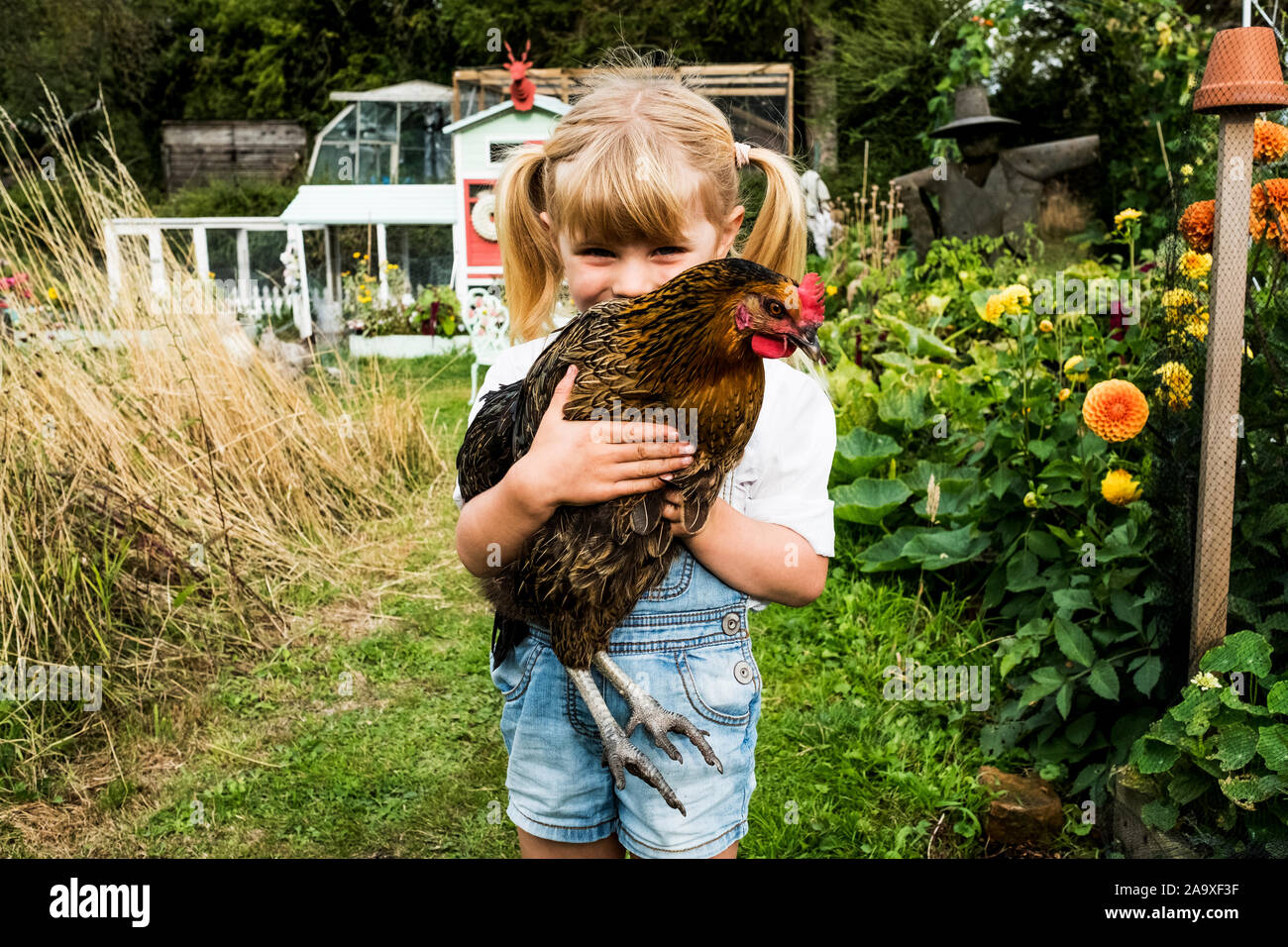 Blonde Mädchen stehen in einem Garten, braun Huhn. Stockfoto
