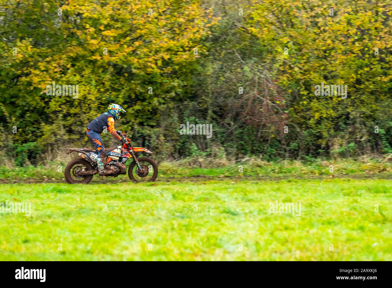 Grass Roots Motorrad Sport Event. Runde 8 des Wales & West Enduro Meisterschaft sieht Konkurrenten eine Kurs Fahrt für drei Stunden. Stockfoto