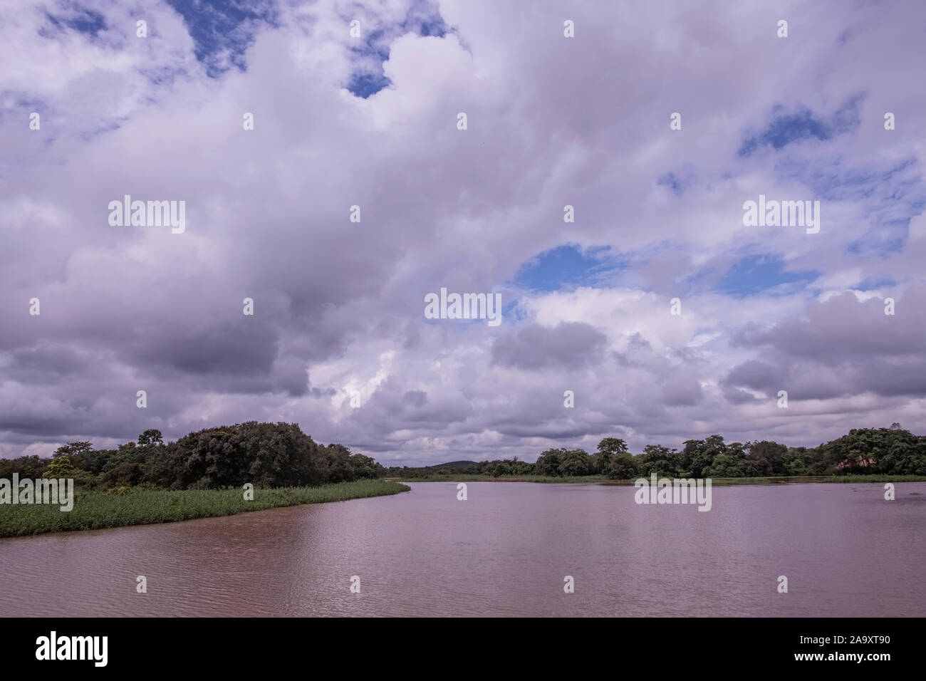 Landschaft, See, Fluss, an Kangsavati Tarafeni,, Schollen, blauer Himmel, grünen Wald, Jhargram, West Bengal, Indien. Stockfoto
