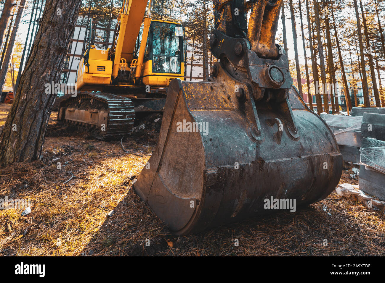 Bagger Bagger Baumaschinen im öffentlichen Park, selektiven Fokus Stockfoto