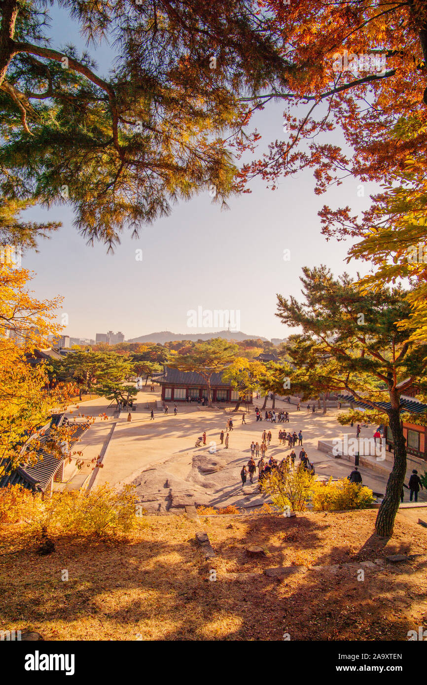 Oriental Palace in Südkorea zu fallen. Touristen zu Fuß. Bäume im Herbst. Stockfoto