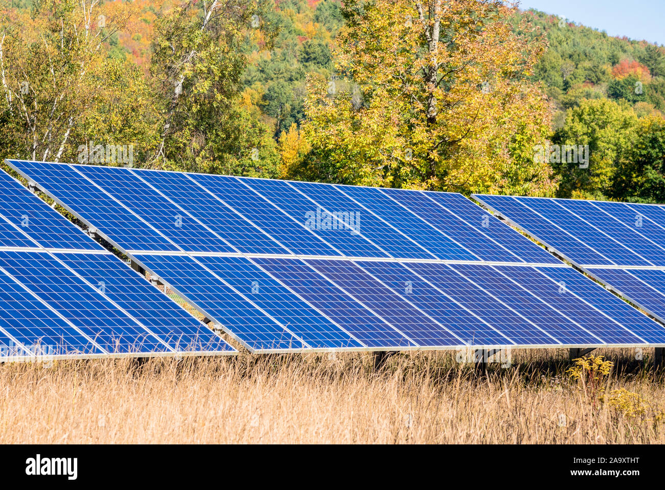 Solar Panels in einem Feld mit bunten Herbst Bäume im Hintergrund an einem sonnigen Tag Stockfoto