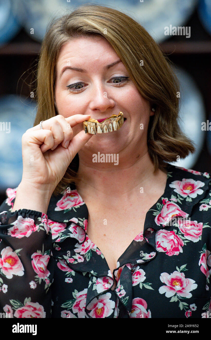 Isabel Murtough, einem Schätzer an Hansons Auktionatoren in Derbsyhire, mit einem 200 Jahre alten Satz von falsche Zähne, von denen erwartet wird, dass sie für bis zu £ 7.000 an der Auktion am 25. November zu verkaufen. PA-Foto. Bild Datum: Montag, November 18, 2019. Die Zähne waren von einem buckinghamshire Mann entdeckt, während aus Metall - Erkennung und sind aus Gold gemacht und möglicherweise hippo Elfenbein. Photo Credit: Jacob König/PA-Kabel Stockfoto