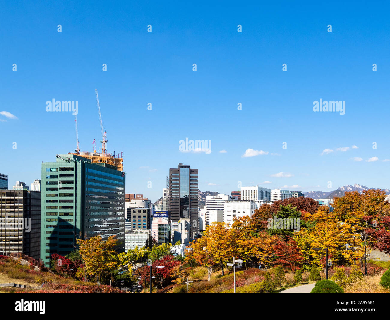 SEOUL, Südkorea, November 4, 2019: bunte Namsan Park auf Nam Berg und Blick auf die modernen Gebäude in Jung-gu in Seoul City an sonnigen aut Stockfoto
