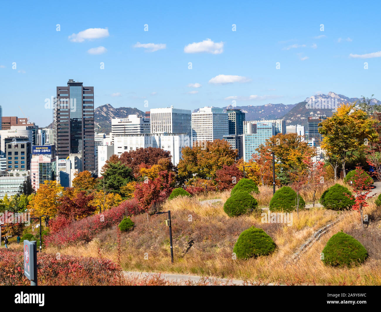 SEOUL, Südkorea, November 4, 2019: bunte Namsan Park auf Nam Berg und Blick auf die gig-Gebäuden in Jung-gu in Seoul City an sonnigen Ein Stockfoto