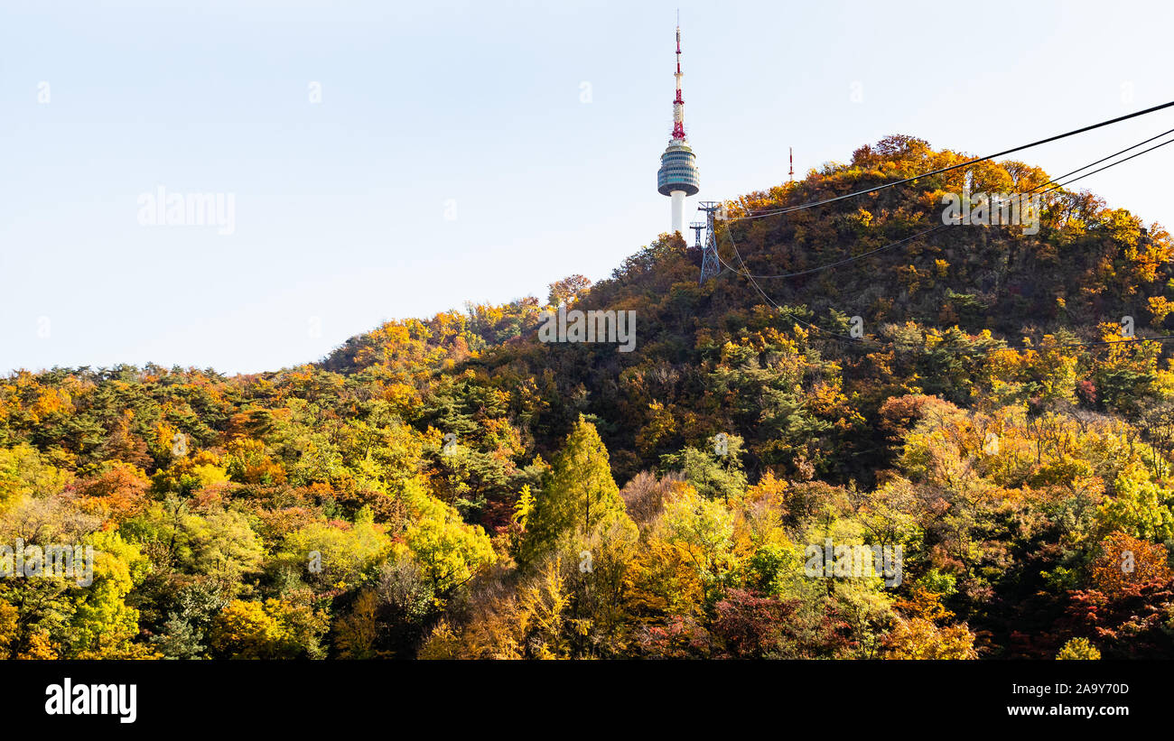 SEOUL, Südkorea, November 4, 2019: Ansicht des N Seoul Tower auf überwachsenen Nam montieren und Kabel weg über Bäume auf Namsan Park in Seoul City auf Sun Stockfoto