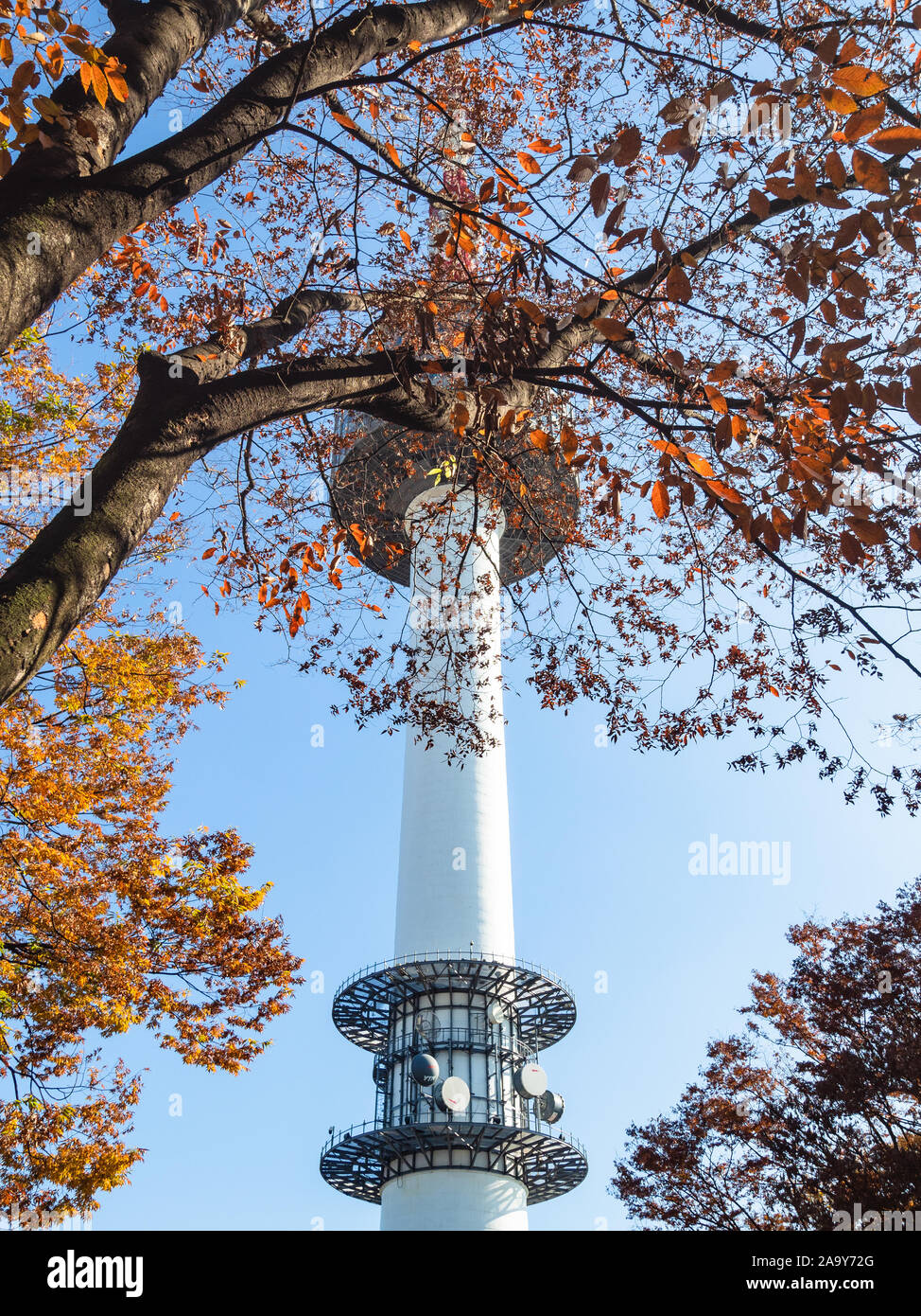 SEOUL, Südkorea, 4. NOVEMBER 2019: Baum mit orange Blätter und Blick auf N Seoul Tower auf Namsan Berg in Seoul City an sonnigen Herbsttag. YTN Seou Stockfoto