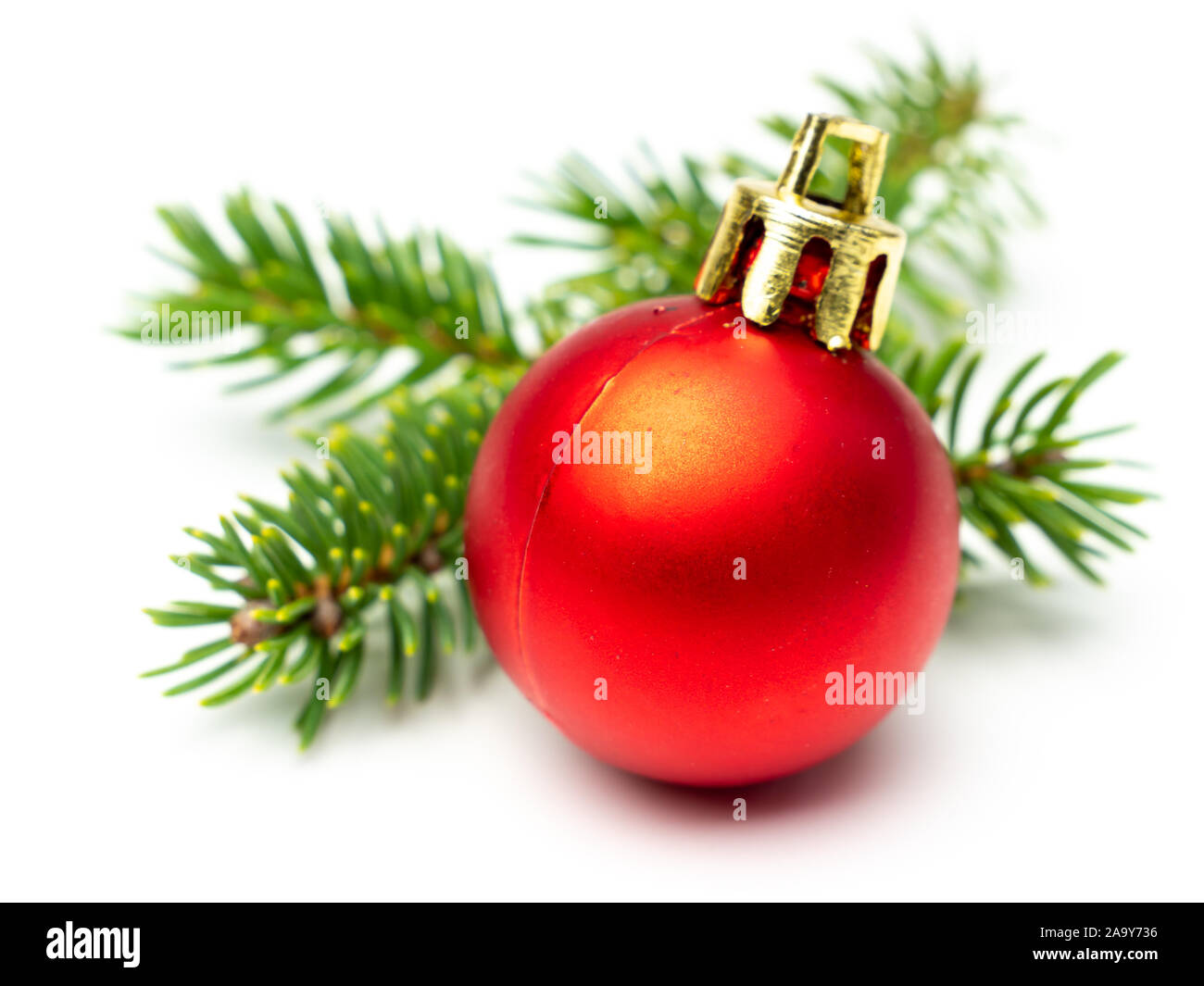 Rote Christbaumkugel mit fir Zweig isoliert Stockfoto