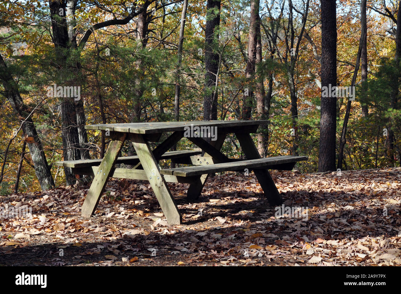 Eine hölzerne Picknickbank im Wald mit Laub auf dem Boden Stockfoto