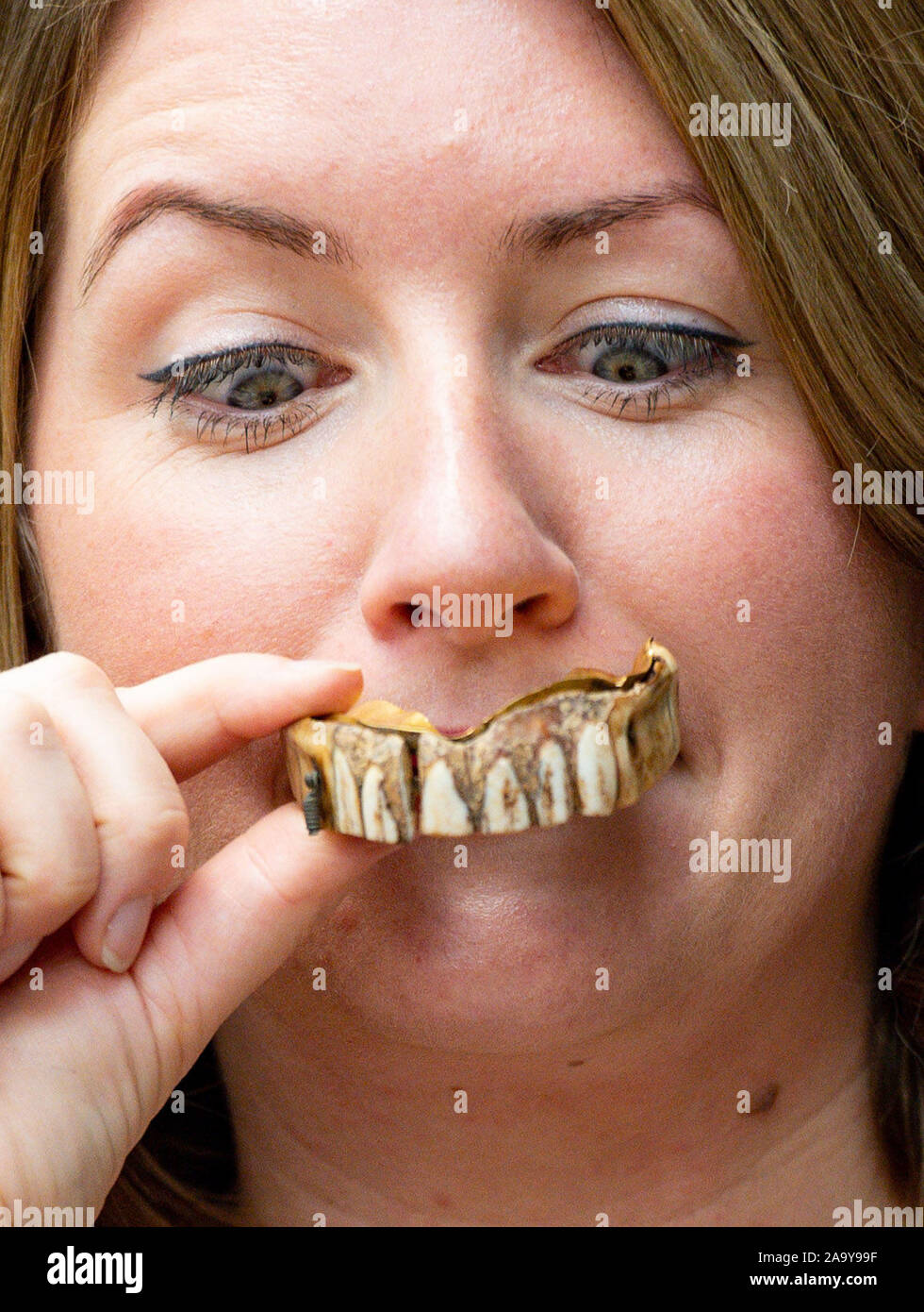 Isabel Murtough, einem Schätzer an Hansons Auktionatoren in Derbsyhire, mit einem 200 Jahre alten Satz von falsche Zähne, von denen erwartet wird, dass sie für bis zu £ 7.000 an der Auktion am 25. November zu verkaufen. Stockfoto