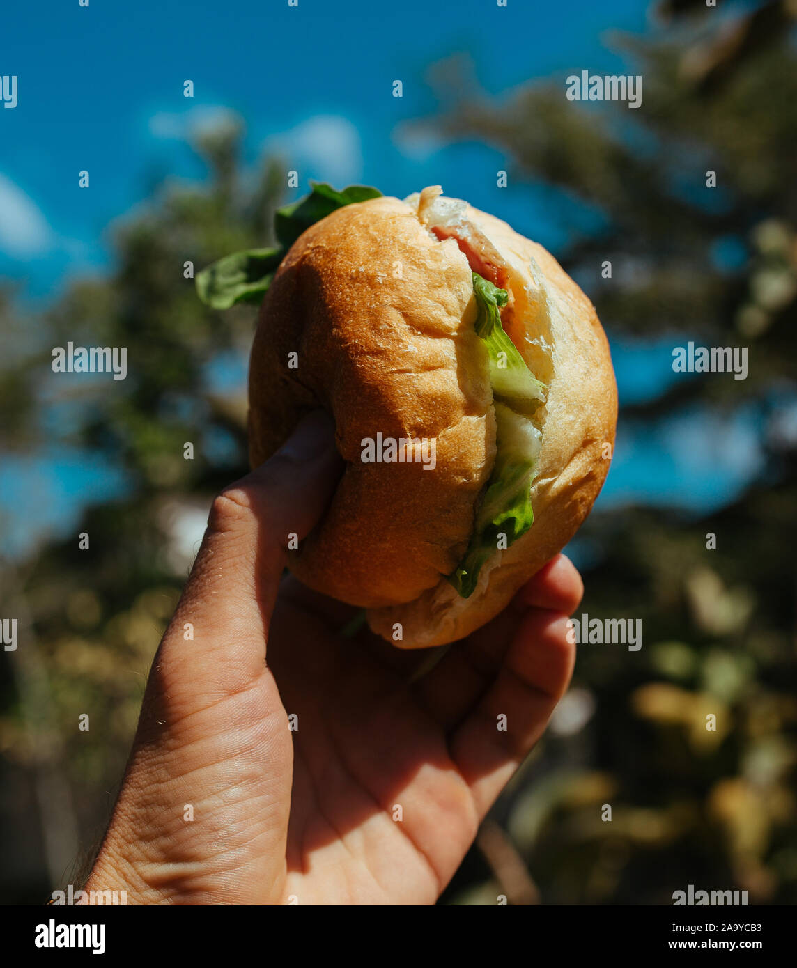 Sandwich mit Schinken und Salat in der Hand Stockfoto