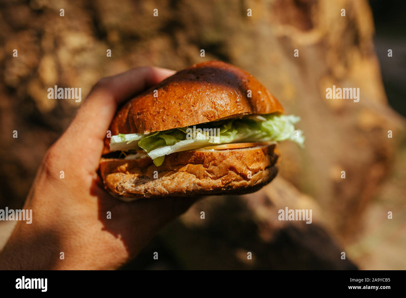Sandwich mit Schinken und Salat in der Hand Stockfoto