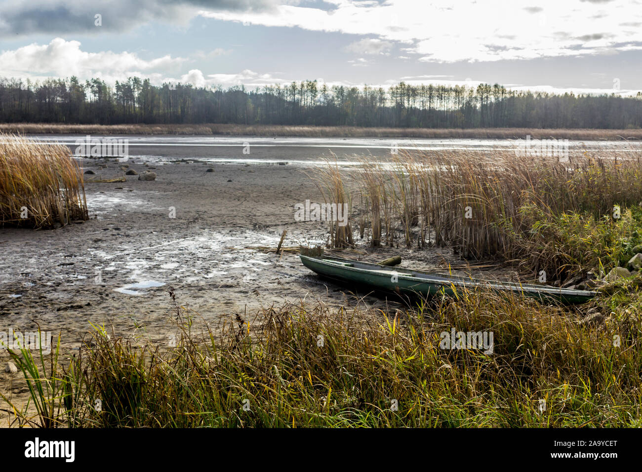 Ende Herbst. Teich für die Zucht von Fisch ohne Wasser. Ein Boot liegt an der Unterseite. Rohrkolben und Wald im Hintergrund. Fischerei. Podlasien, Polen. Stockfoto