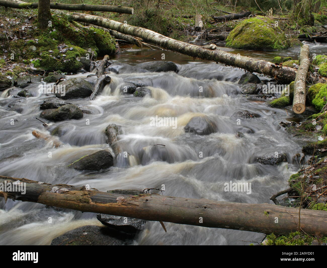 Umgestürzte Bäume über ein schnelles Stream lange Belichtung Stockfoto