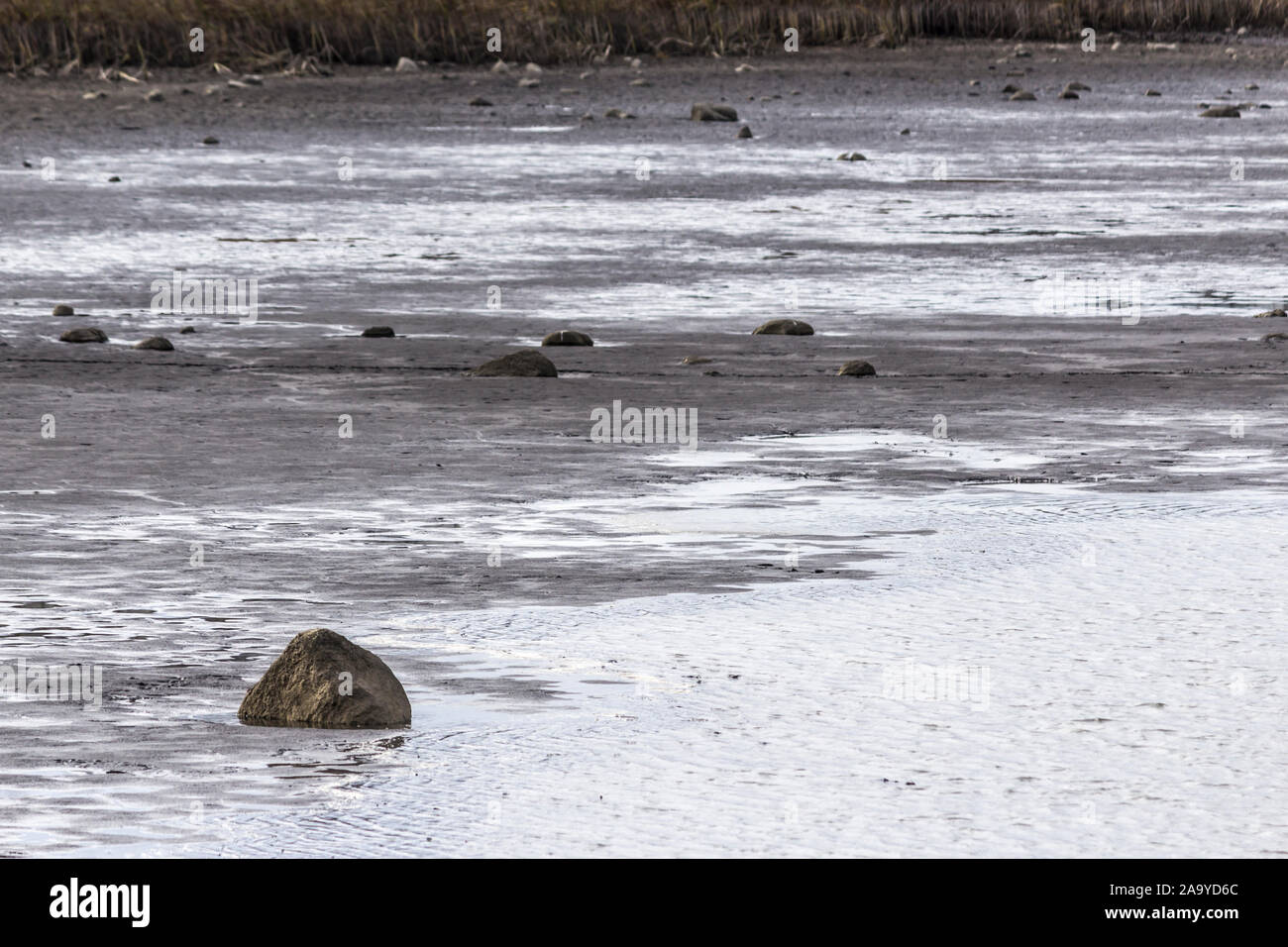 In den späten Herbst. Ein Teich für die Zucht von Fisch ohne Wasser. Die Steine liegen auf dem Schlamm unten. Im Hintergrund Rohrkolben. Fischerei. Podlasien, Polen. Stockfoto