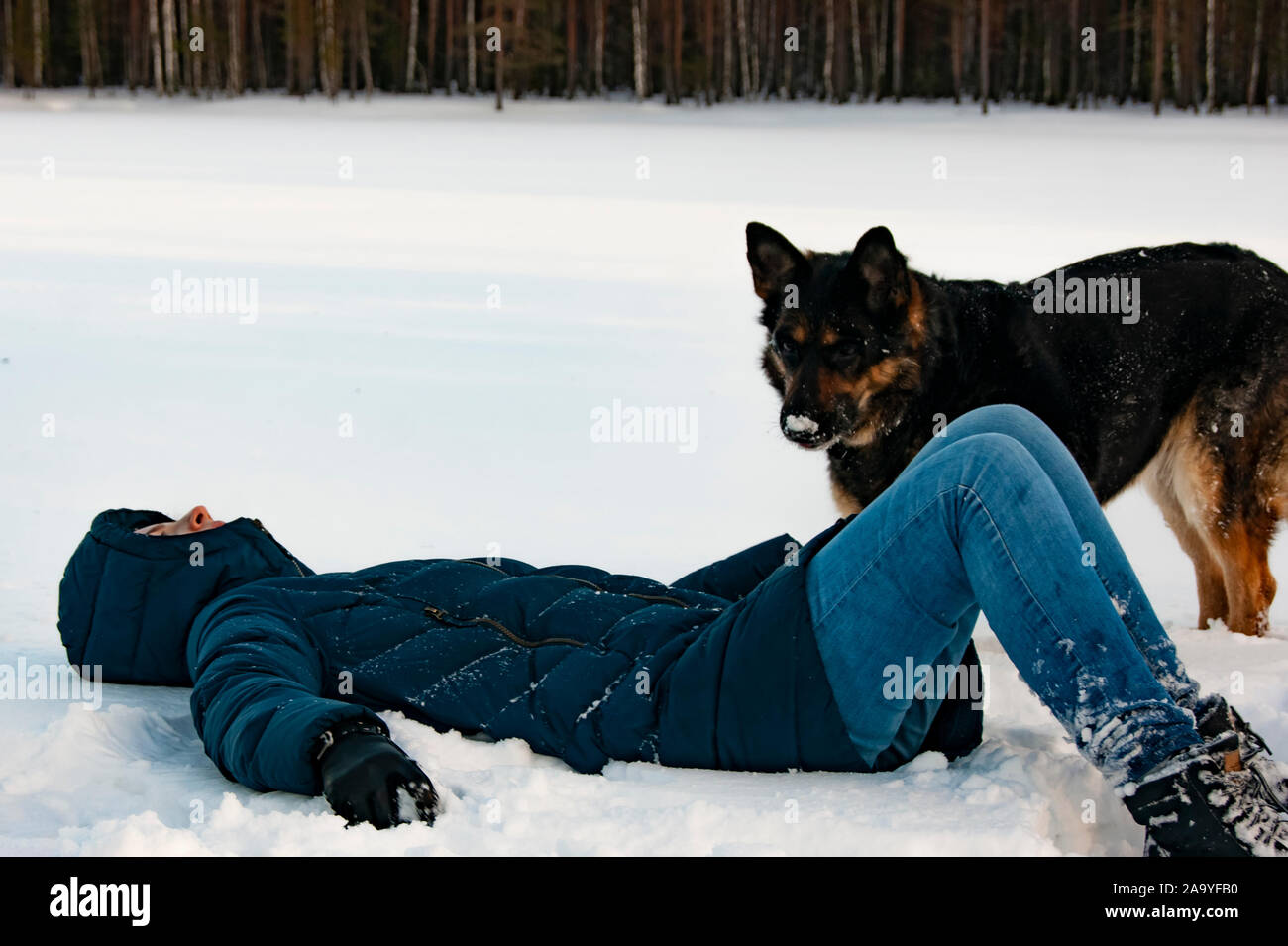 Mädchen mit einem Hund am Ufer eines Sees. Der Hund ist der beste Freund eines Mannes, und im Winter einen Hund aufwärmen können unter allen Bedingungen. Stockfoto