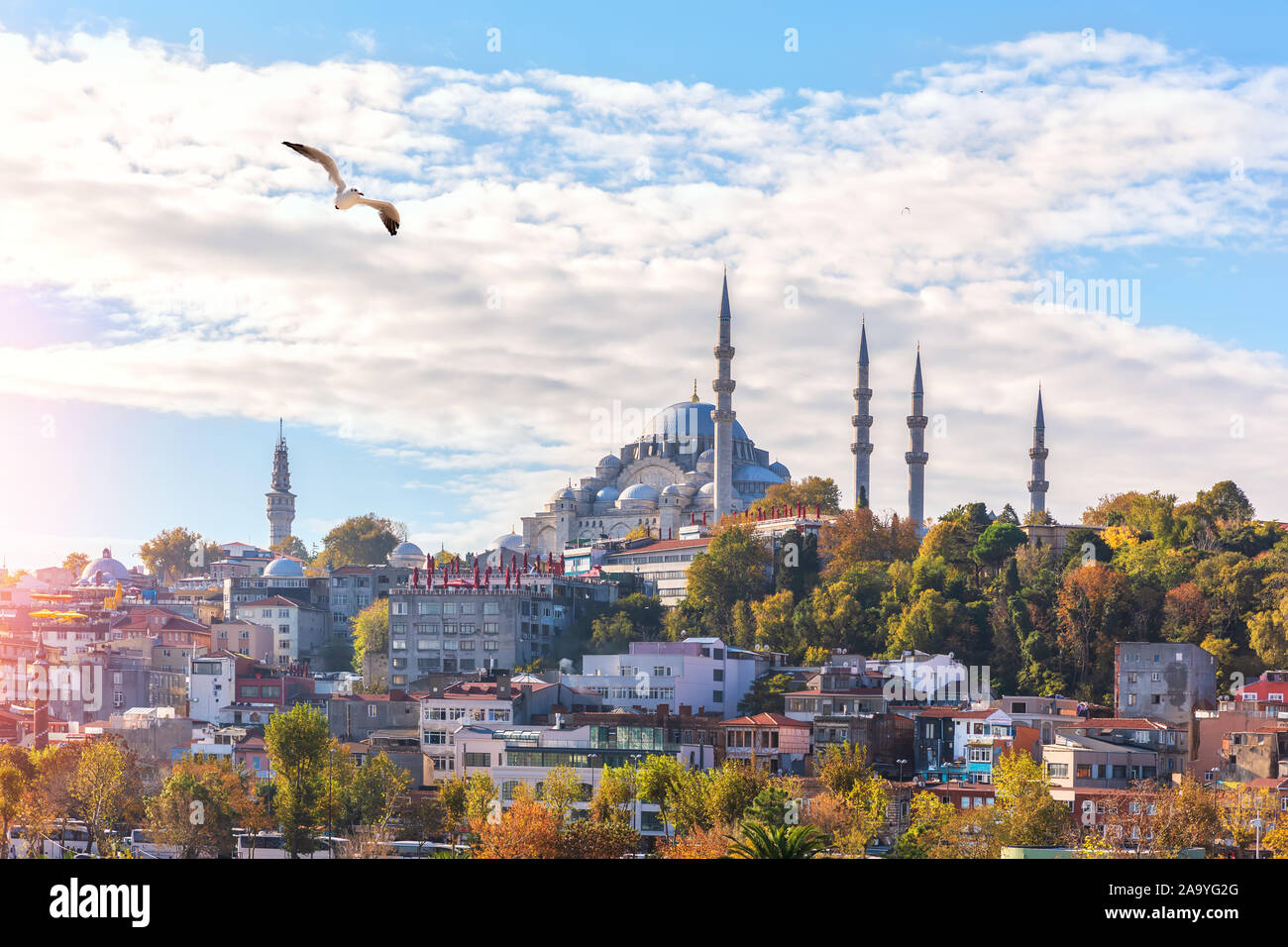 Süleymaniye Moschee auf dem Hügel von Istanbul, Blick von der Eminonu Pier Stockfoto