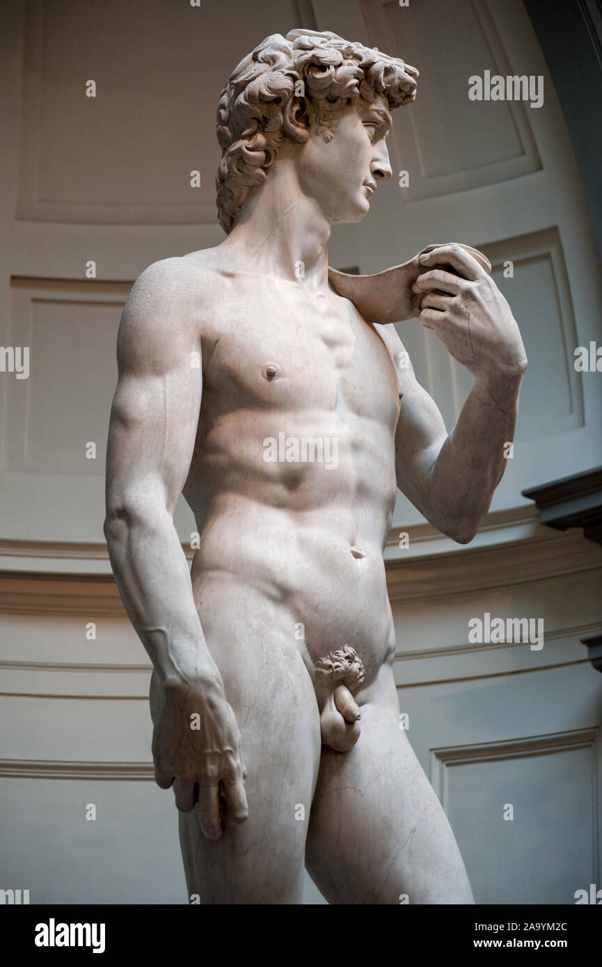 Florenz, Italien - 2019, 10. November: Die original David Marmorstatue, Michelangelos Meisterwerk, an der Accademia Galerie. Stockfoto Florenz, Italien - 2019, 10. November: Die original David Marmorstatue, Michelangelos Meisterwerk, an der Accademia Galerie. Stockfoto