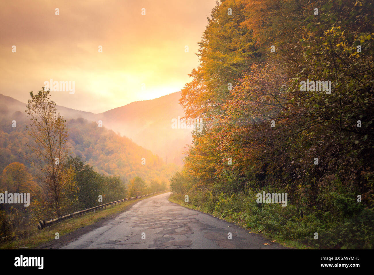 Herbst Berglandschaft mit schönen Licht. Nebeliger morgen. Berg windigen Straße unter den Wald Stockfoto