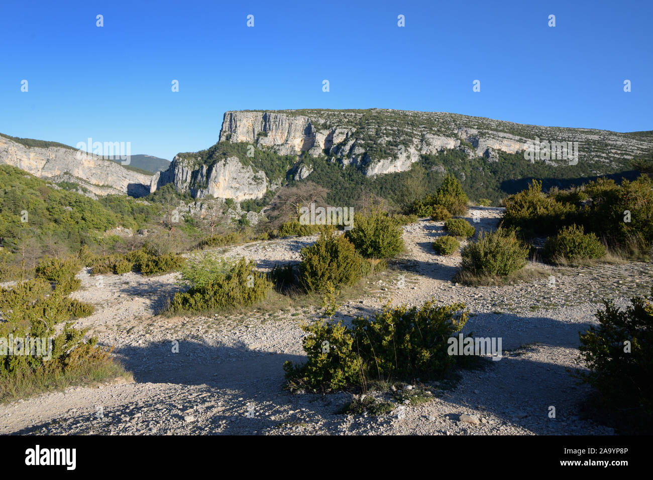 Klippen & Landschaft in der Verdon Schlucht in einem Gebiet, bekannt als die Point Sublime Rougon Provence Frankreich Stockfoto