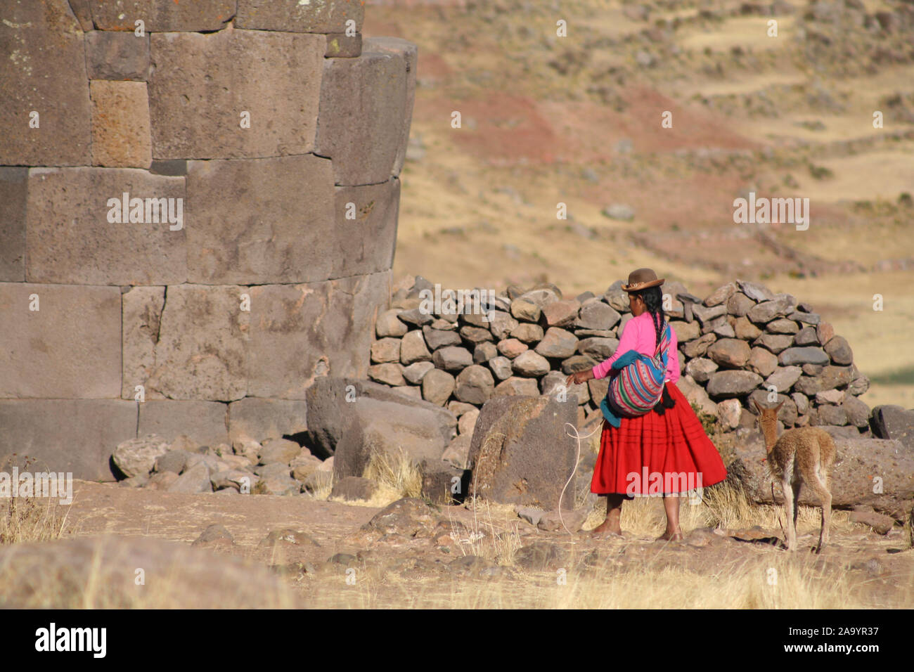 Frau in traditioneller Kleidung mit Lama auf Stein in Puno - Peru sitzen. Stockfoto