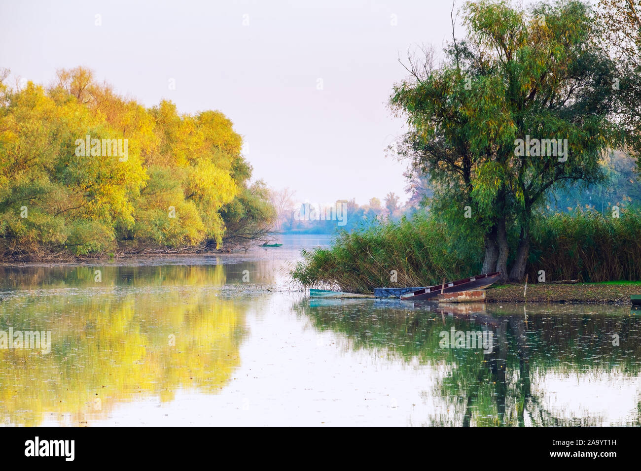 Herbst friedliche Theiß-See Landschaft in Ungarn Stockfoto