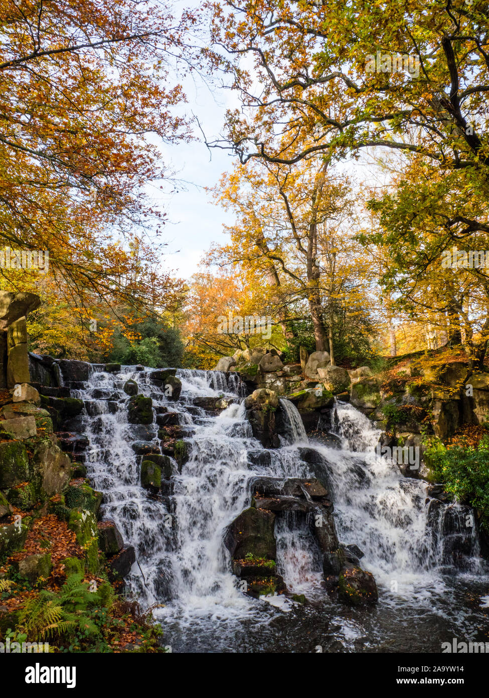 Die Kaskade, Wasserfall, herbstliche Farben, Virginia Wasser, große Windsor Park, Surrey, England, UK, GB. Stockfoto