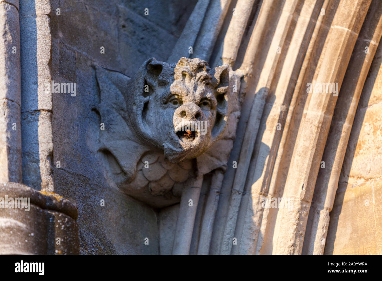 Detail der Fassade mit Wasserspeier in der Kathedrale von Salisbury, Salisbury, Wiltshire, England, Großbritannien Stockfoto