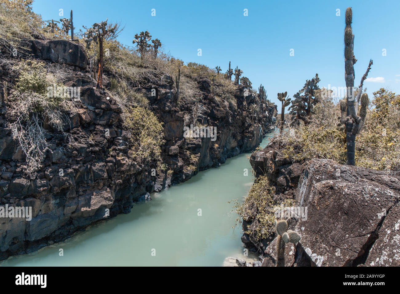 Eine der einzigartigen Buchten auf Galapagos. Dies ist Teil der Insel Isabela und der Salzgehalt im Wasser schafft eine natürliche blaugrüne Färbung. Stockfoto