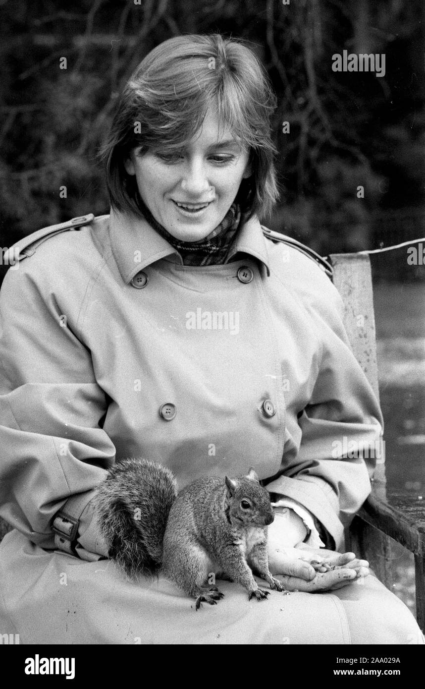 Frau Fütterung graue Eichhörnchen mit Muttern in park Großbritannien, Großbritannien, 1985 Stockfoto