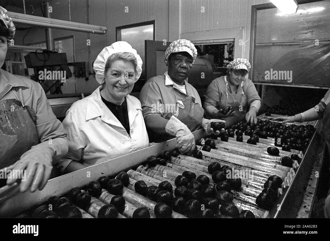 Schokolade Süsswaren Arbeiter an der Fertigungsanlage in York, England, Großbritannien 1985 Stockfoto