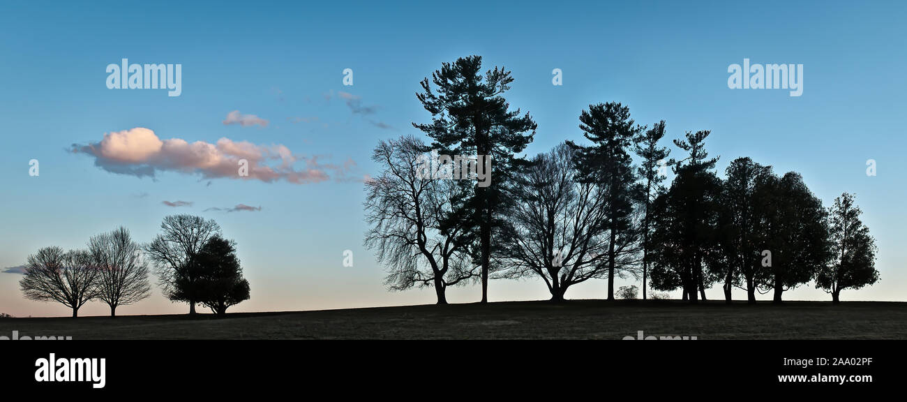 Winter Bäume am Horizont bei Sonnenuntergang in Central Virginia Stockfoto