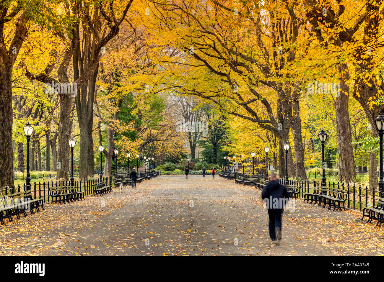 Herbst Blick von der Mall und literarischer Spaziergang, Central Park, Manhattan, New York, USA Stockfoto