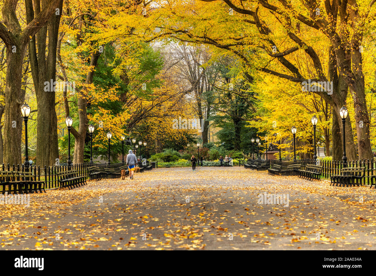 Herbst Blick von der Mall und literarischer Spaziergang, Central Park, Manhattan, New York, USA Stockfoto