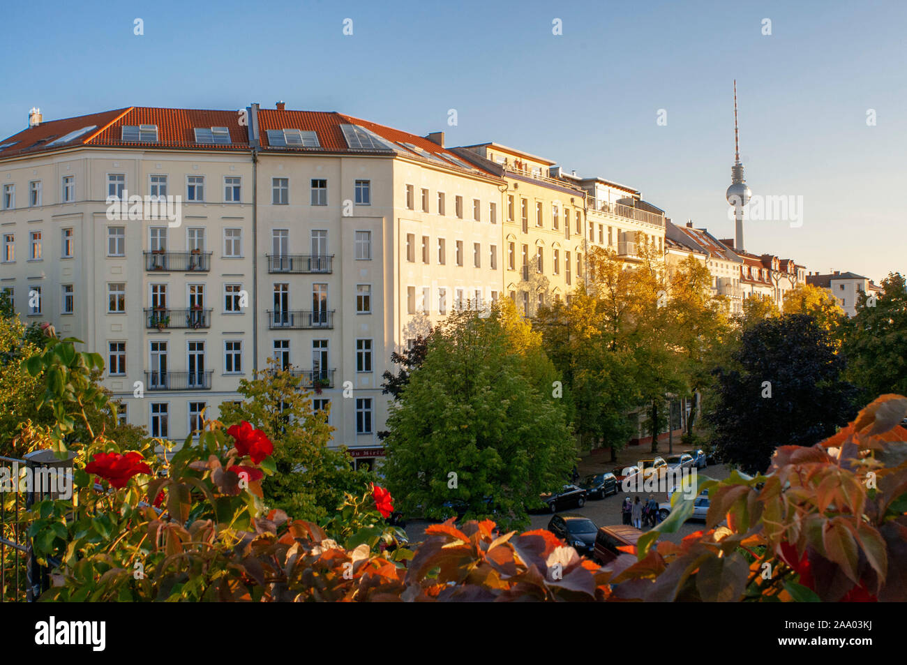 Berliner Fernsehturm und Häuser vom Water Tower Park in Prenzlauer Berg Berlin, Deutschland, Europa Stockfoto